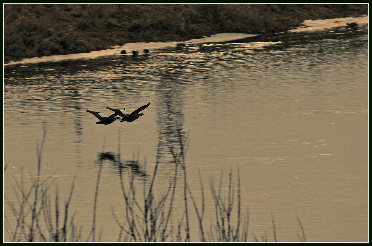 Abendflug zu zweit