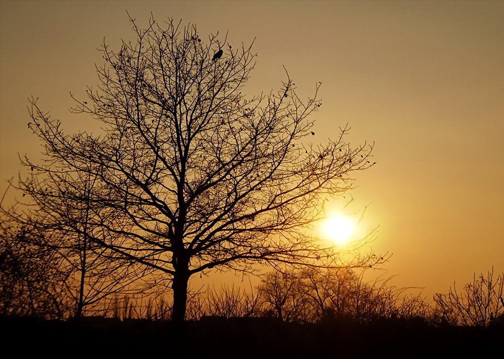 Abendfrieden