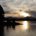 Abendfrieden am Forggensee