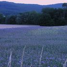 Abendfrieden... - oder: wenn die Landschaft zum Spiegel wird... (1. Bearbeitung)