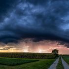 Abendgewitter