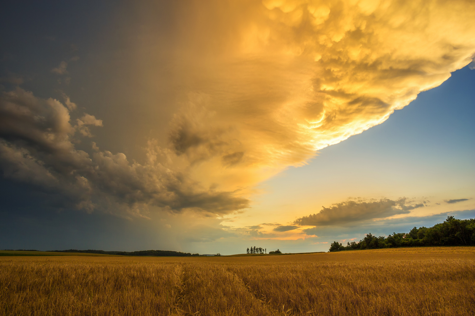 Abendgewitter