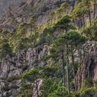 Abendglitzern über der Polischellu Schlucht, Korsika