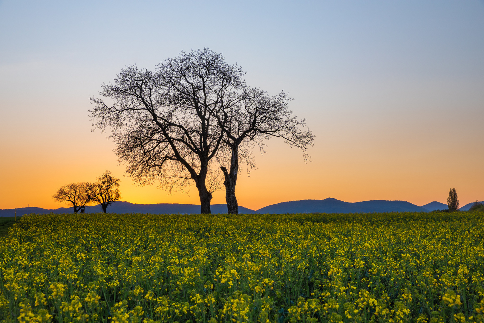 Abendglühen