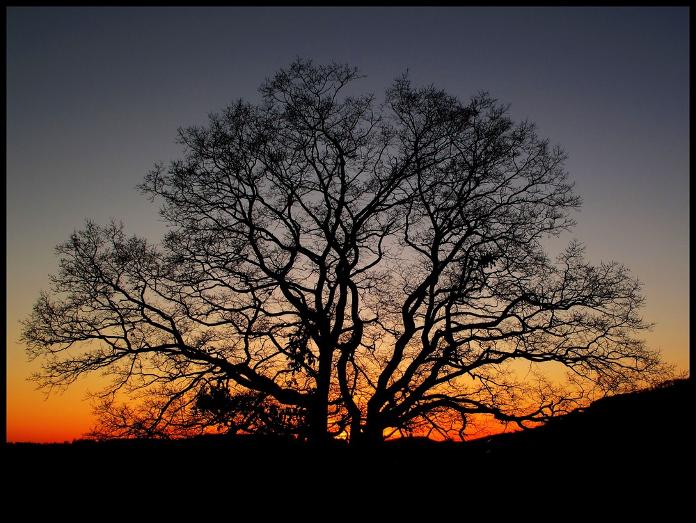 Abendglühen