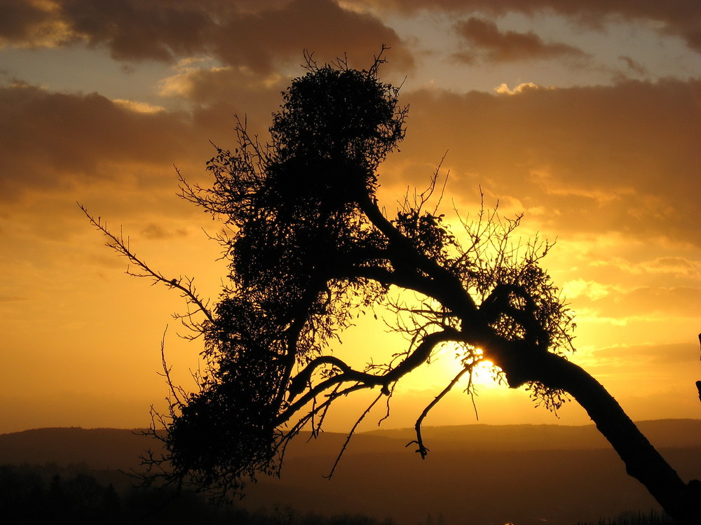 Abendglühen