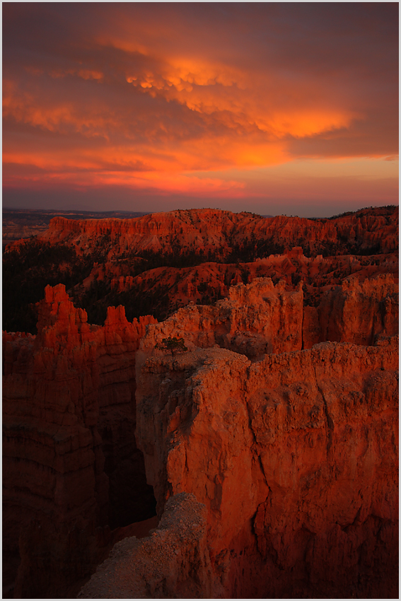 Abendglühen am Bryce Canyon