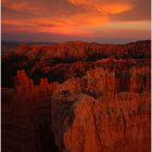 Abendglühen am Bryce Canyon