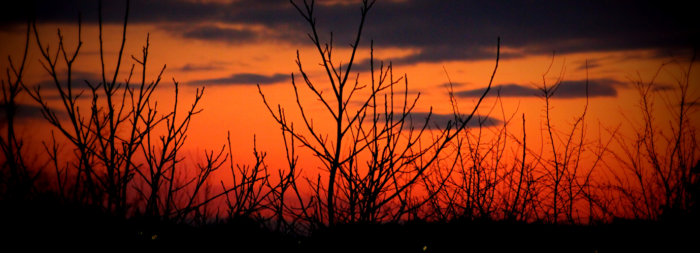 Abendglühen @ bergisch ;-)