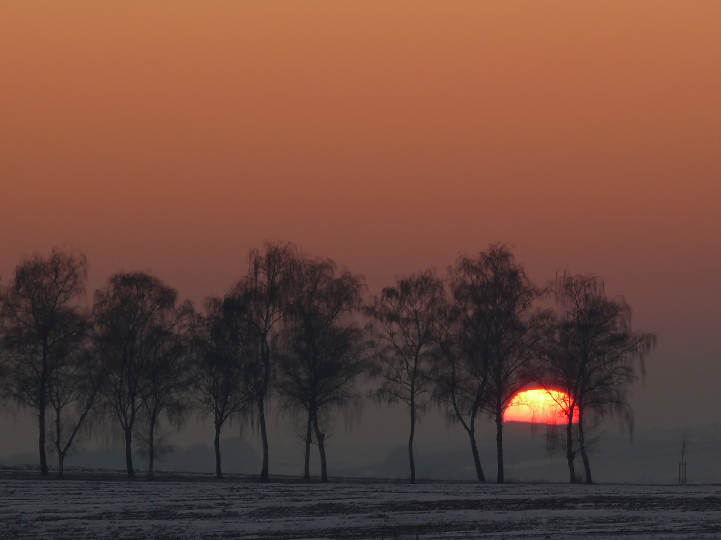 Abendglühen