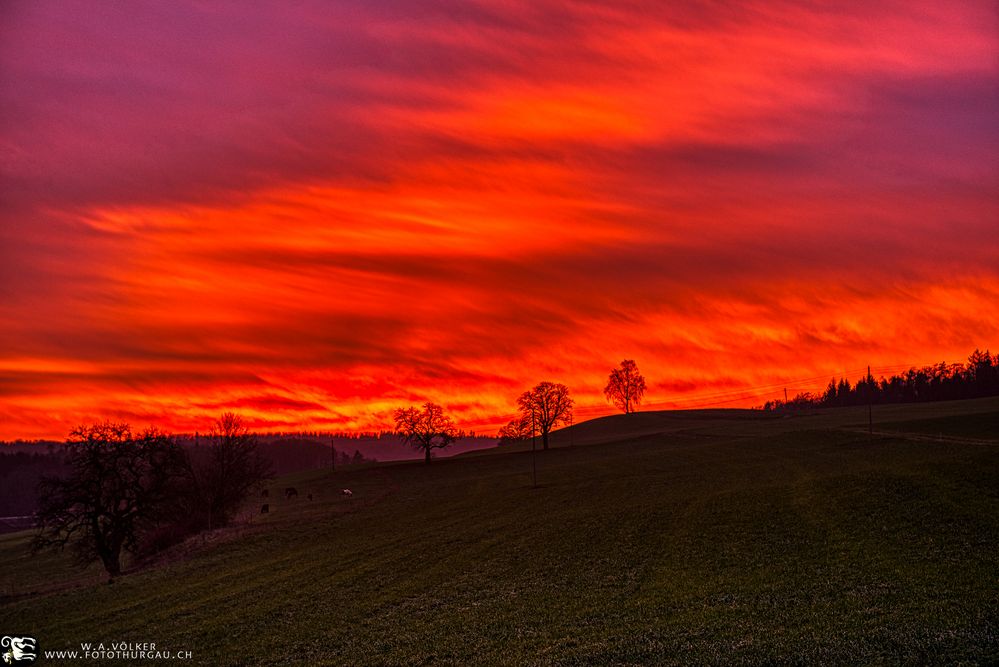 Abendglut