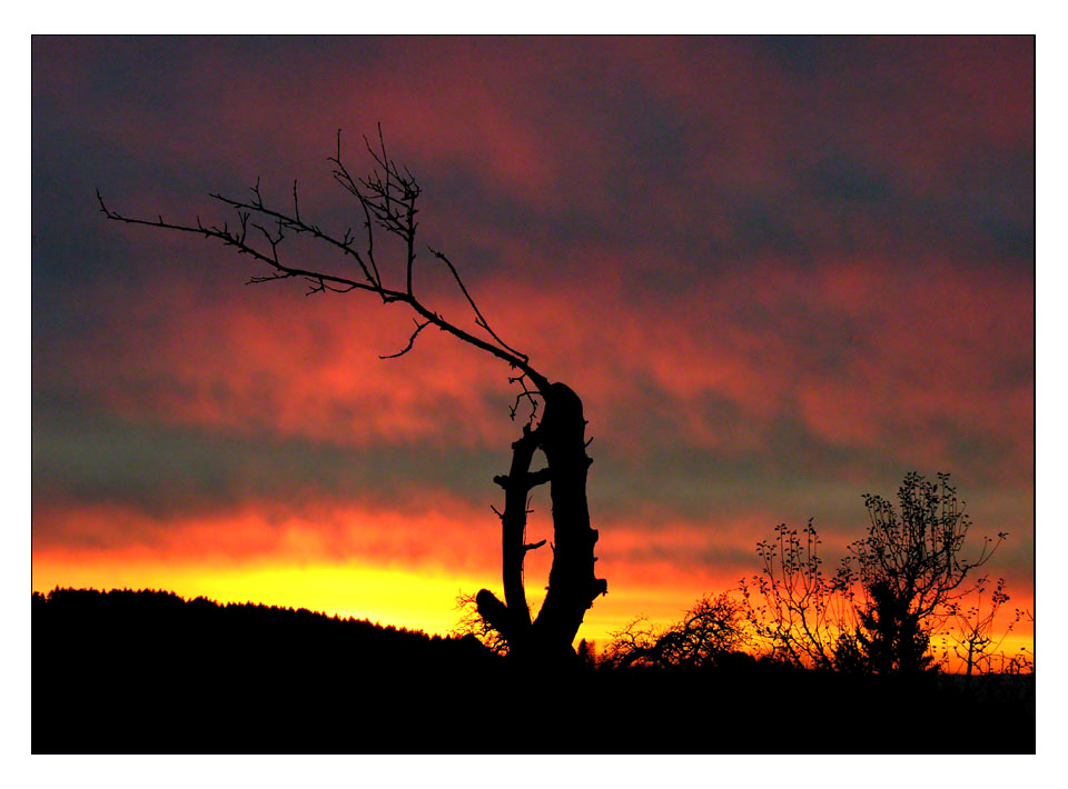 Abendglut im Zürcher Oberland