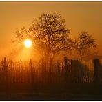 Abendgold über dem Arlesgarten