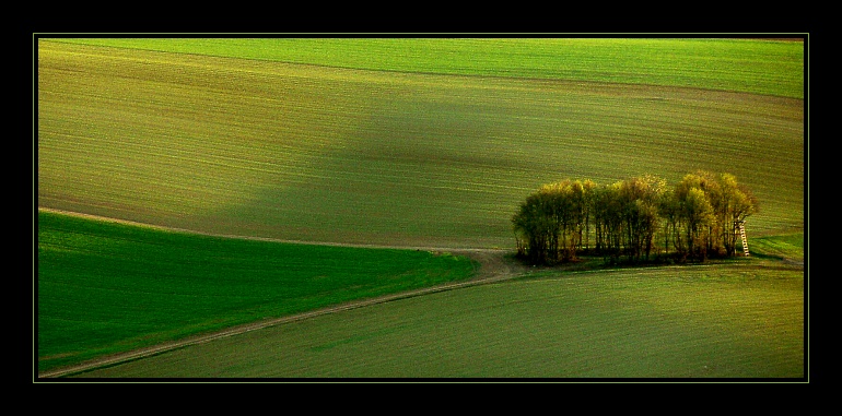 Abendgrün