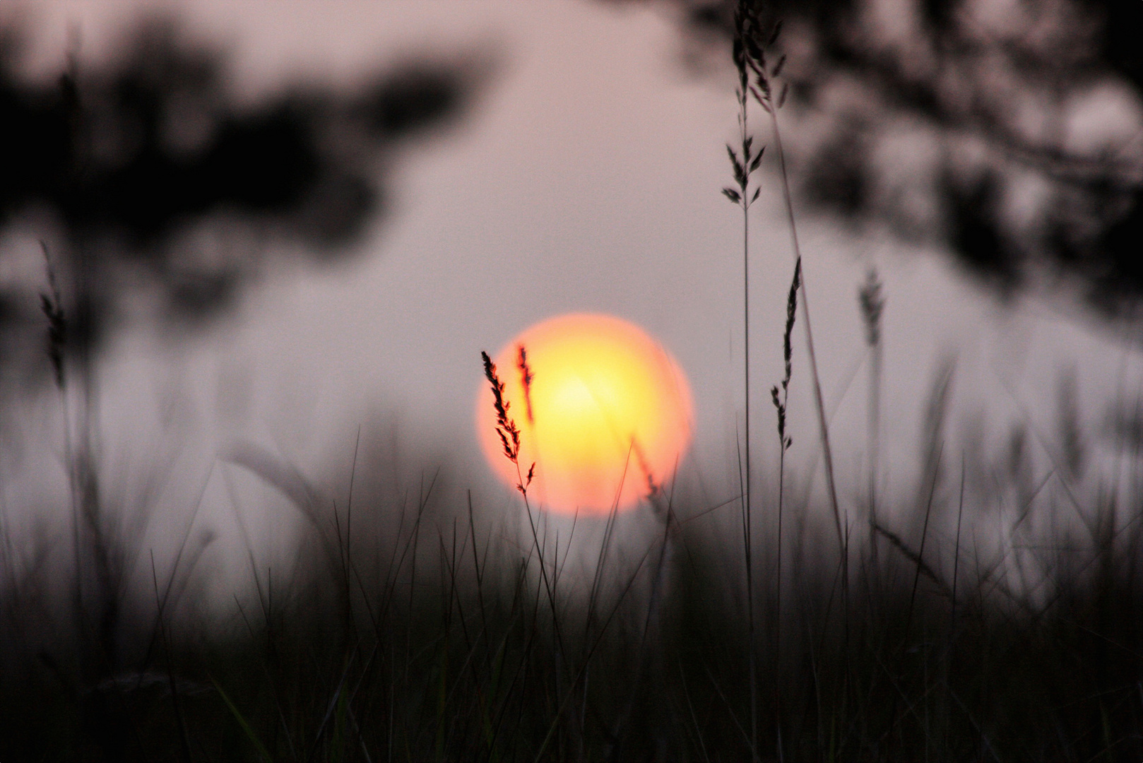 Abendgruß