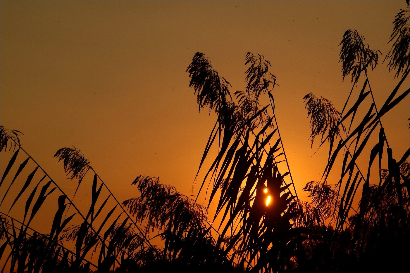 Abendgruß