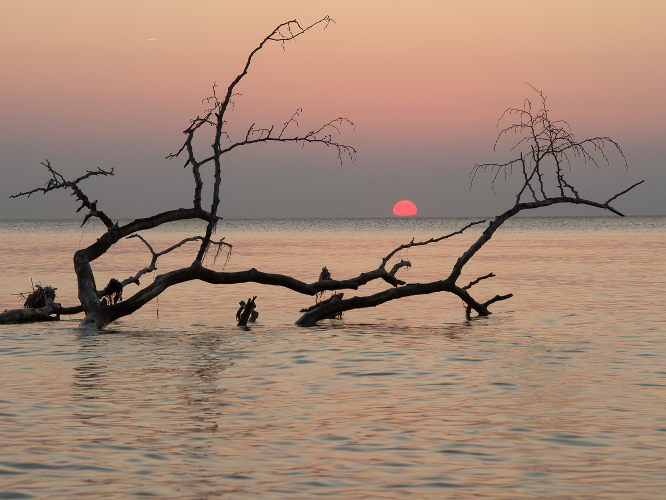 Abendgruß vom Weststrand