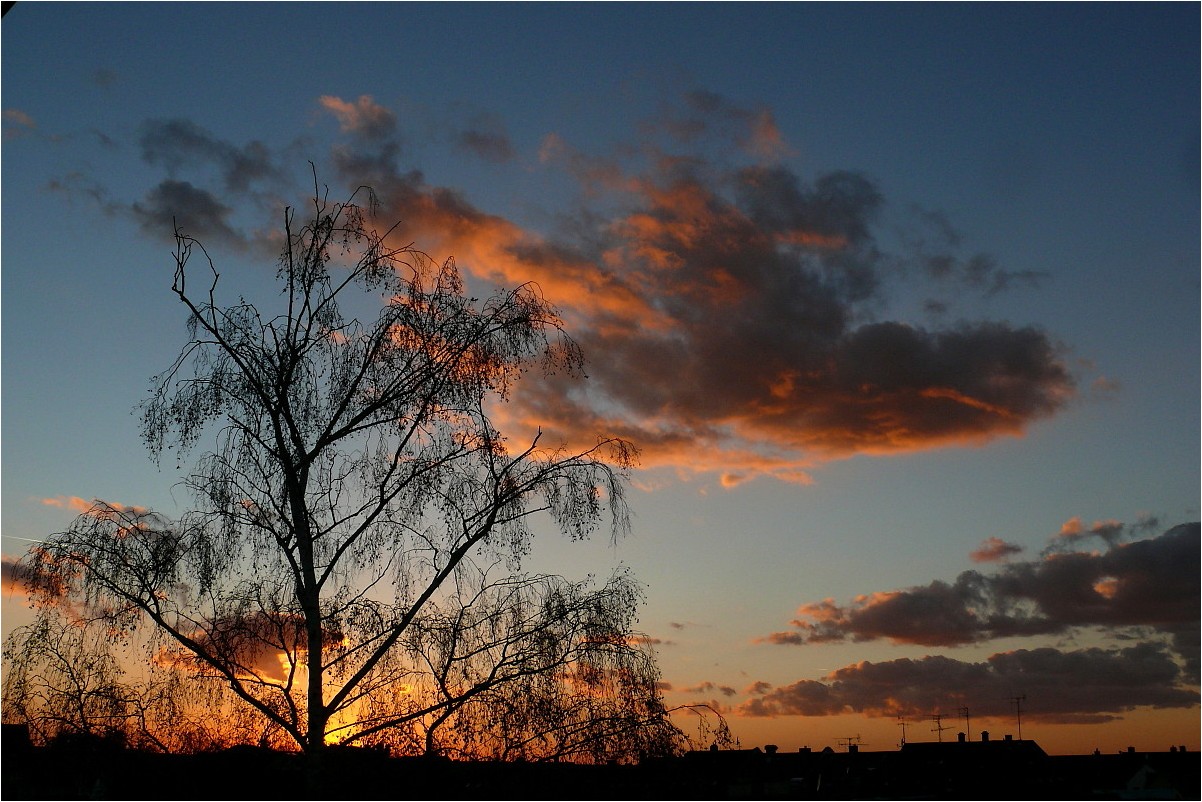 Abendhimmel (2)