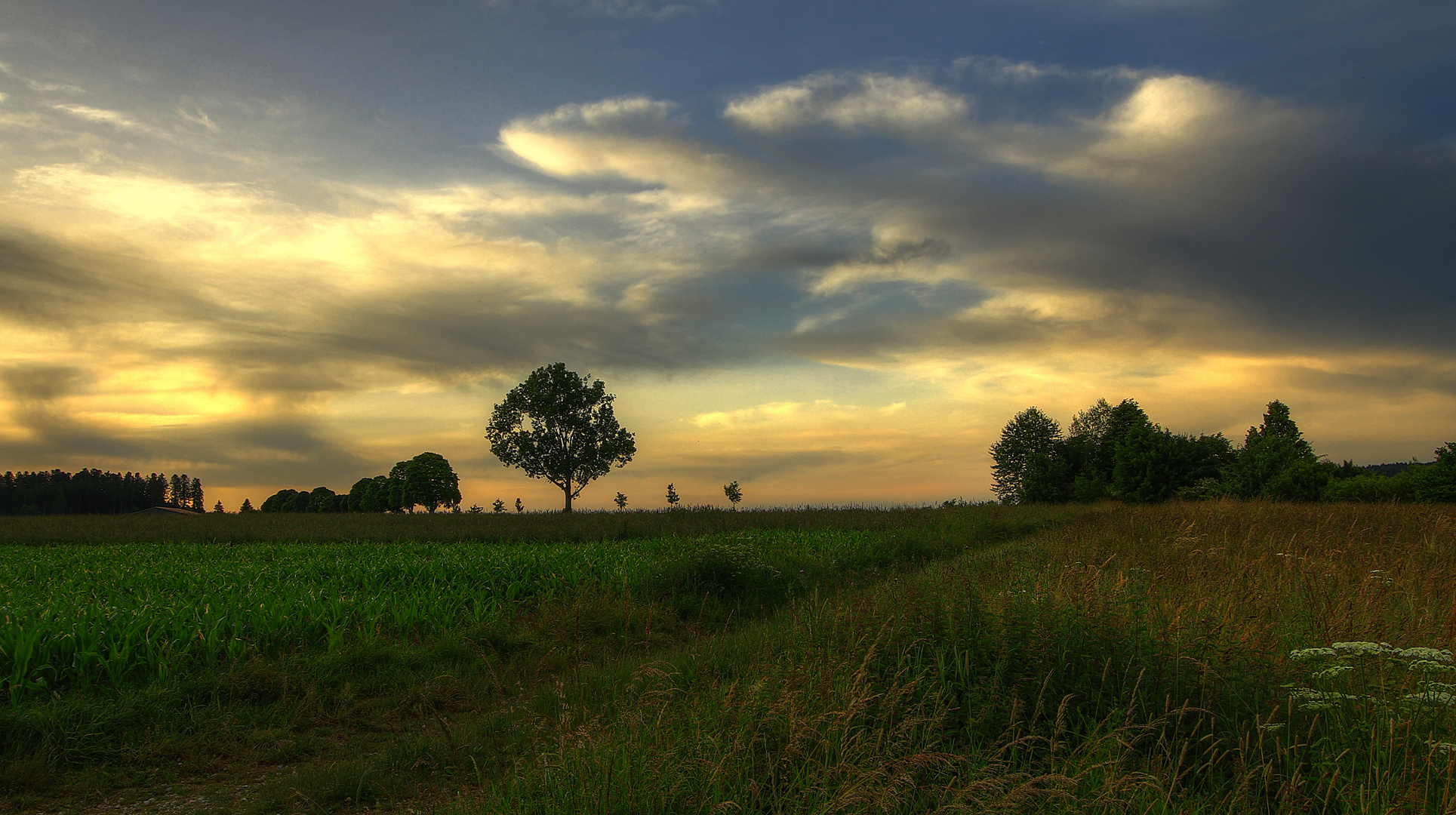 Abendhimmel