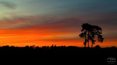 *** Abendhimmel *** 