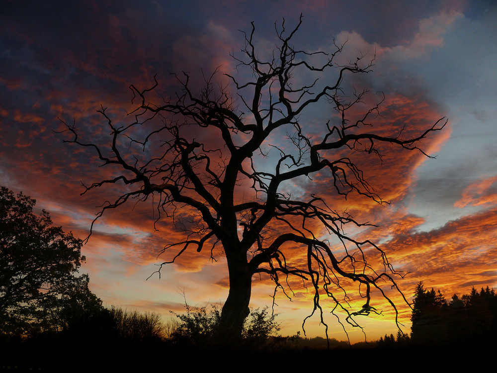 Abendhimmel