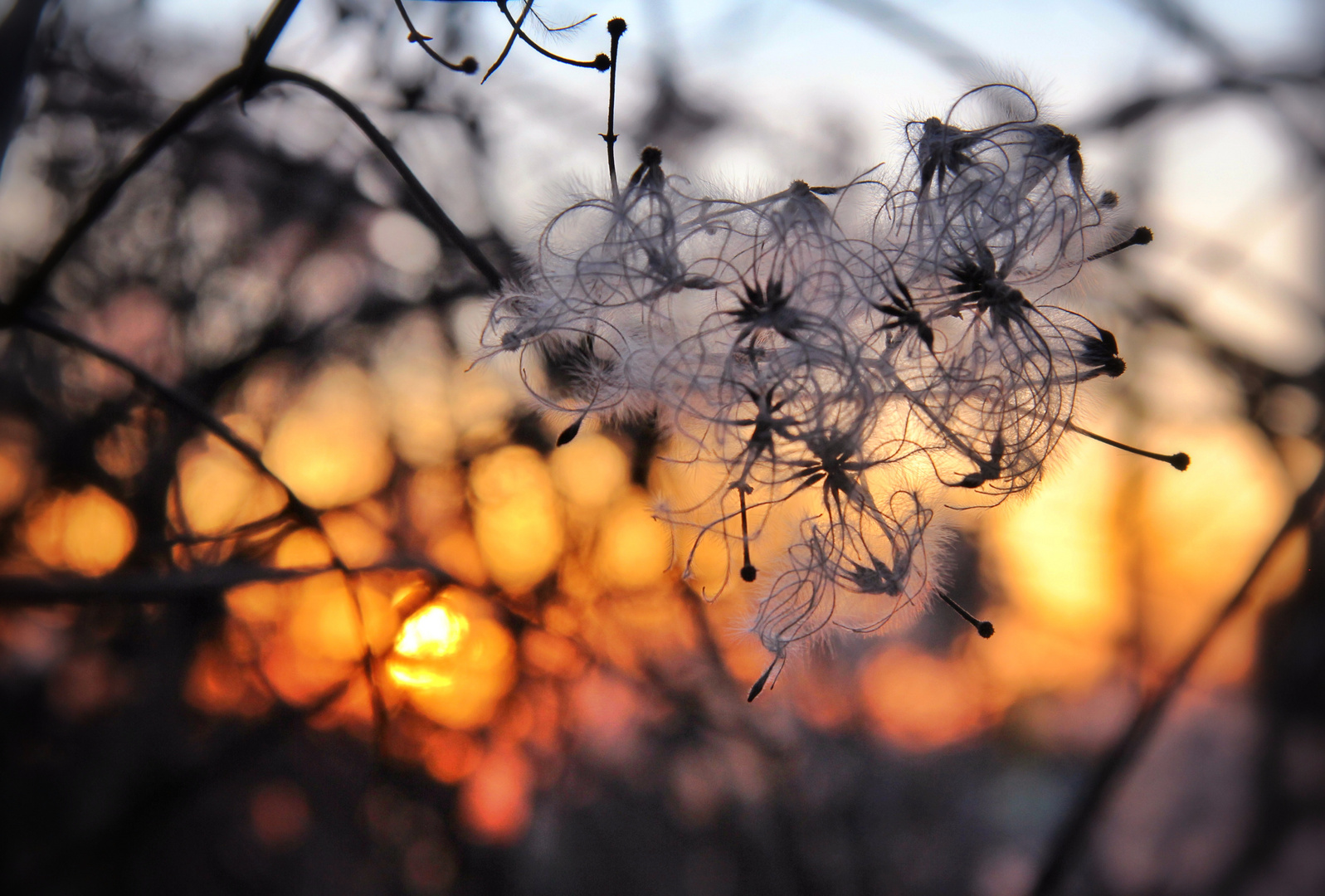 Abendhimmel