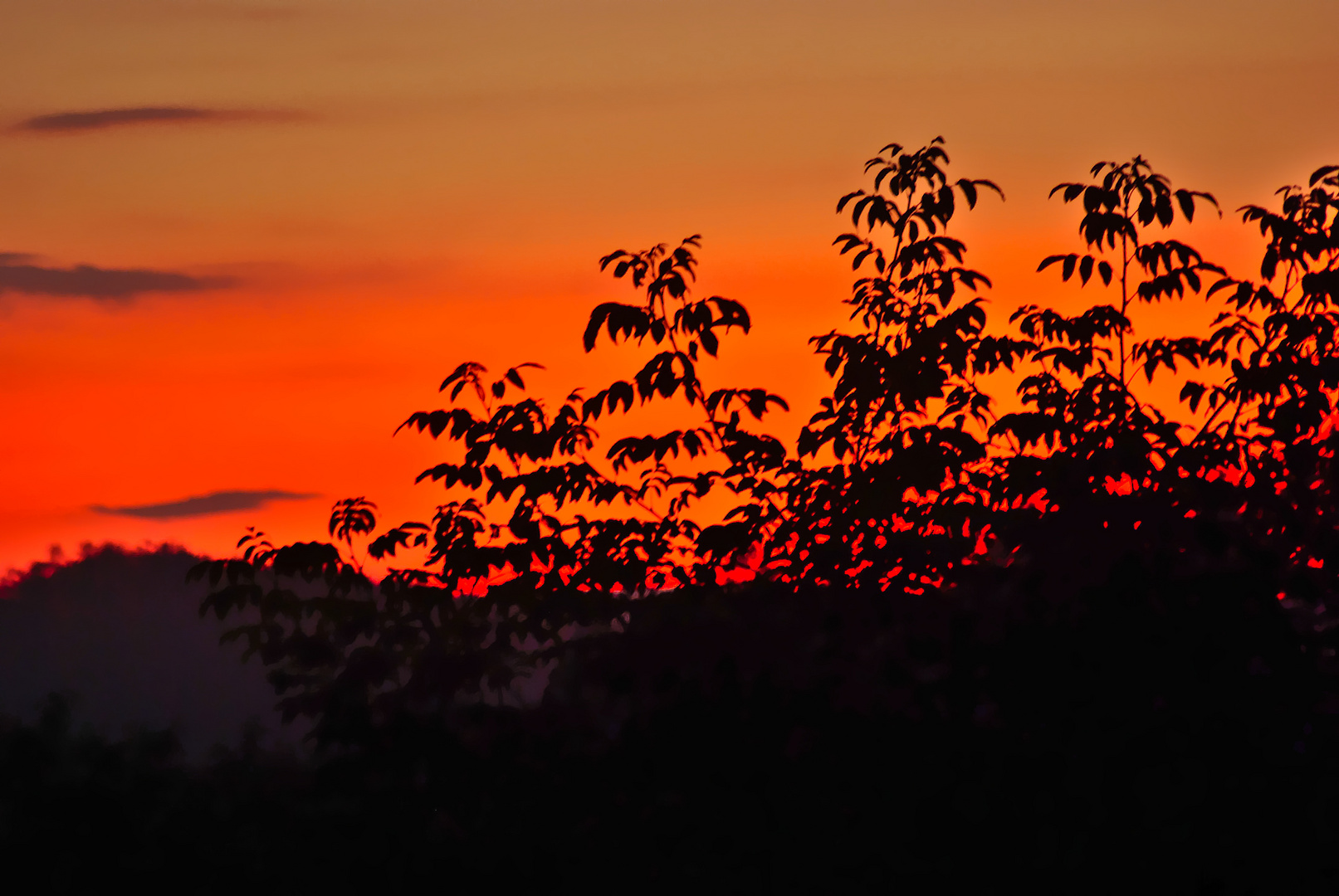 Abendhimmel am 31.8.2017