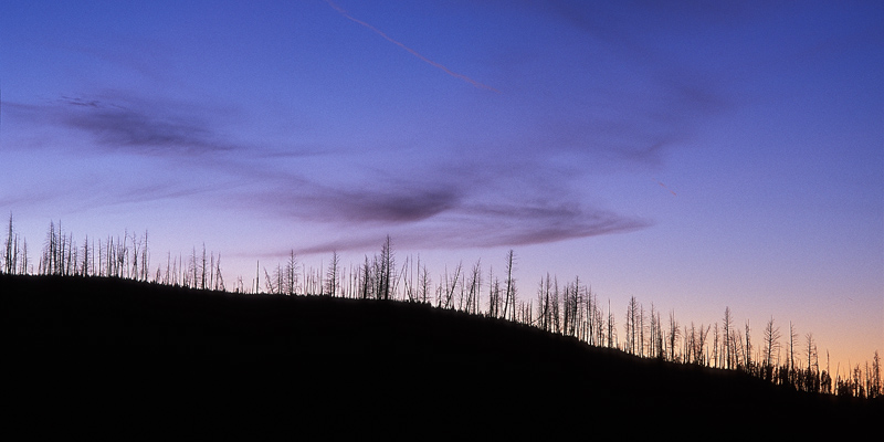 Abendhimmel am Madison River, Yellowstone NP