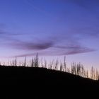 Abendhimmel am Madison River, Yellowstone NP