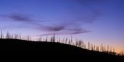 Abendhimmel am Madison River, Yellowstone NP von Gregor Kofler