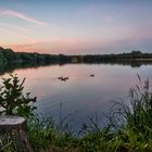 Abendhimmel am Unisee