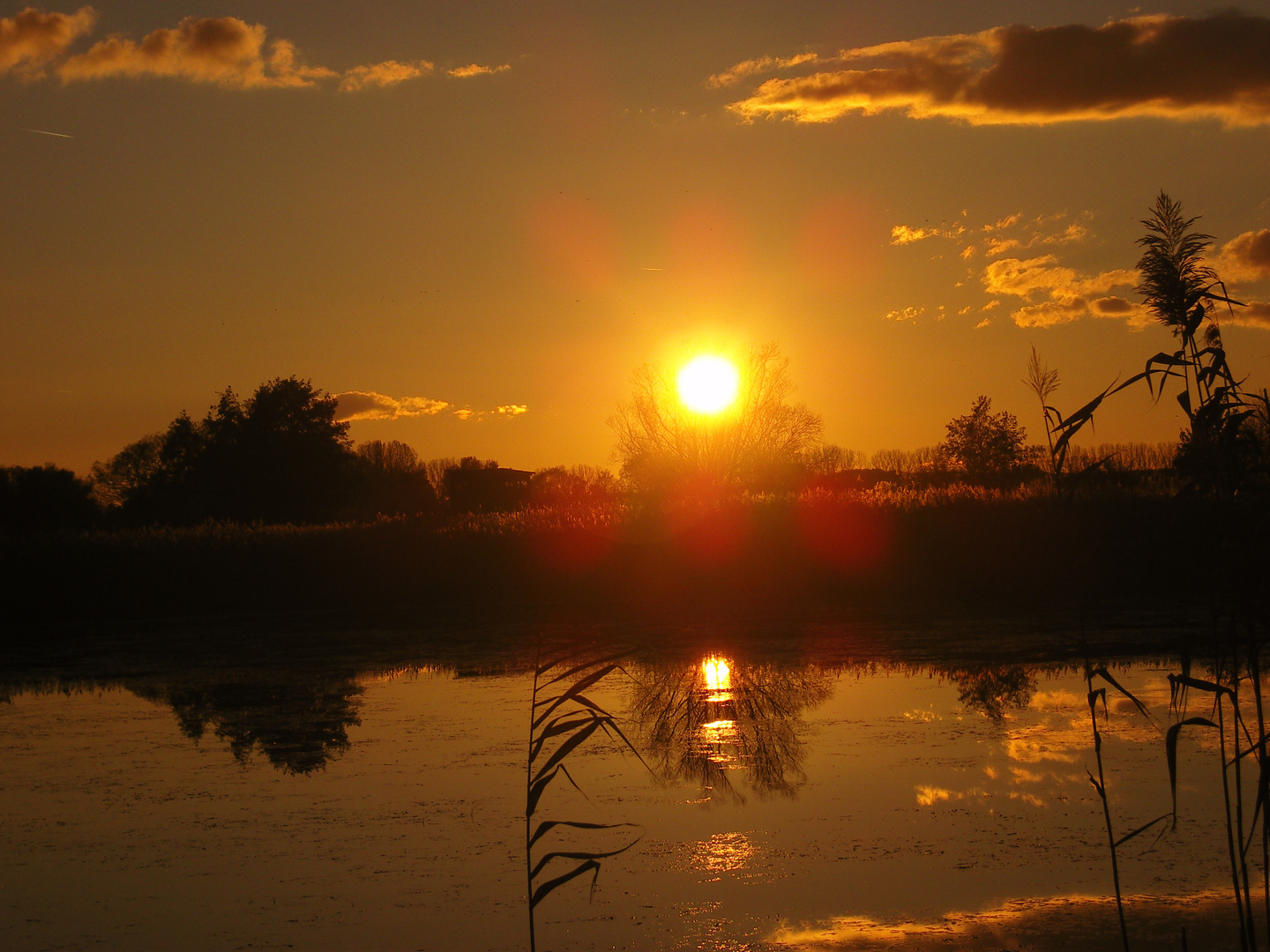 Abendhimmel an den Linumer Teichen