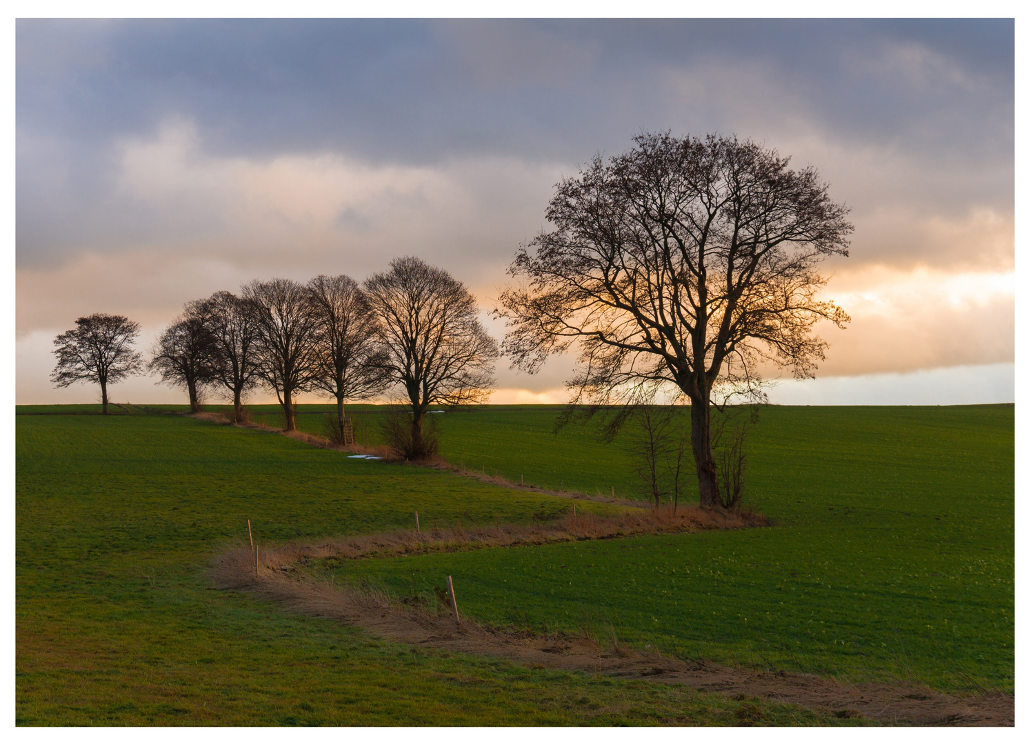 Abendhimmel 