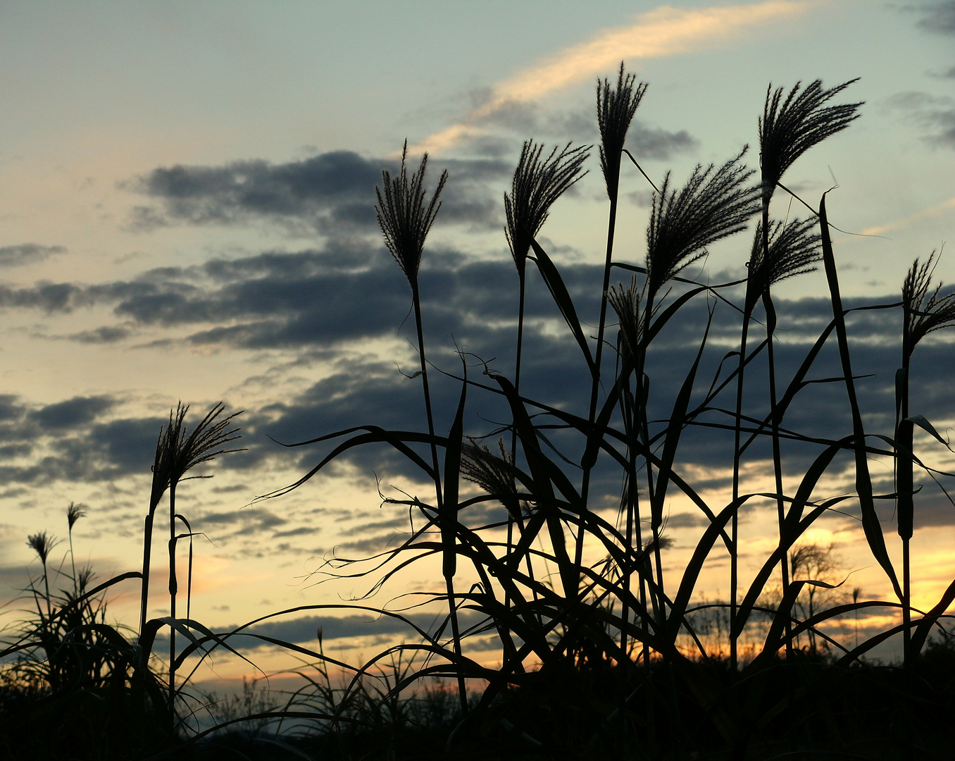 Abendhimmel