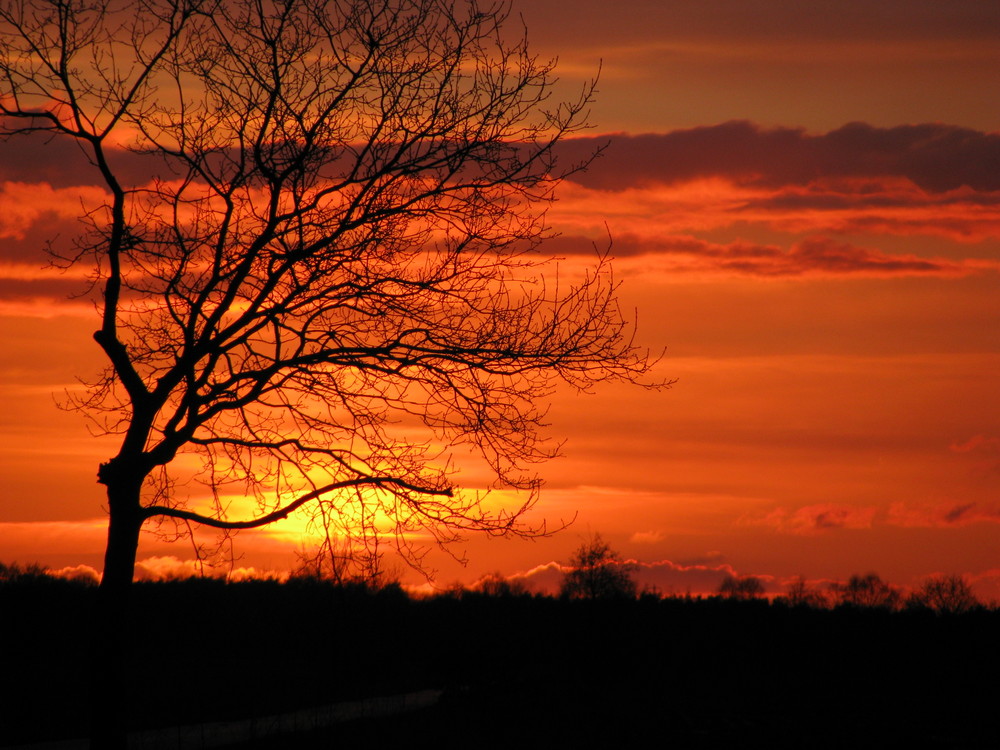 Abendhimmel