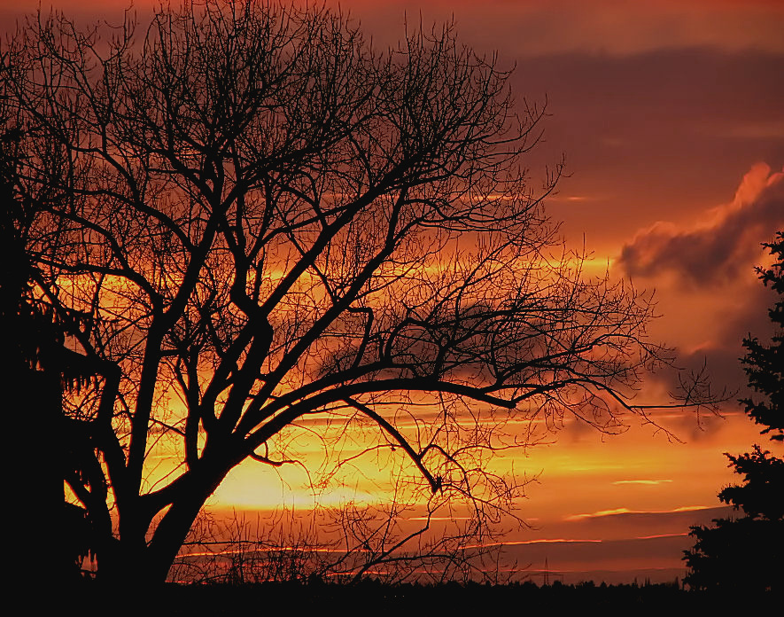 Abendhimmel im Februar