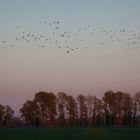 Abendhimmel im Havelland