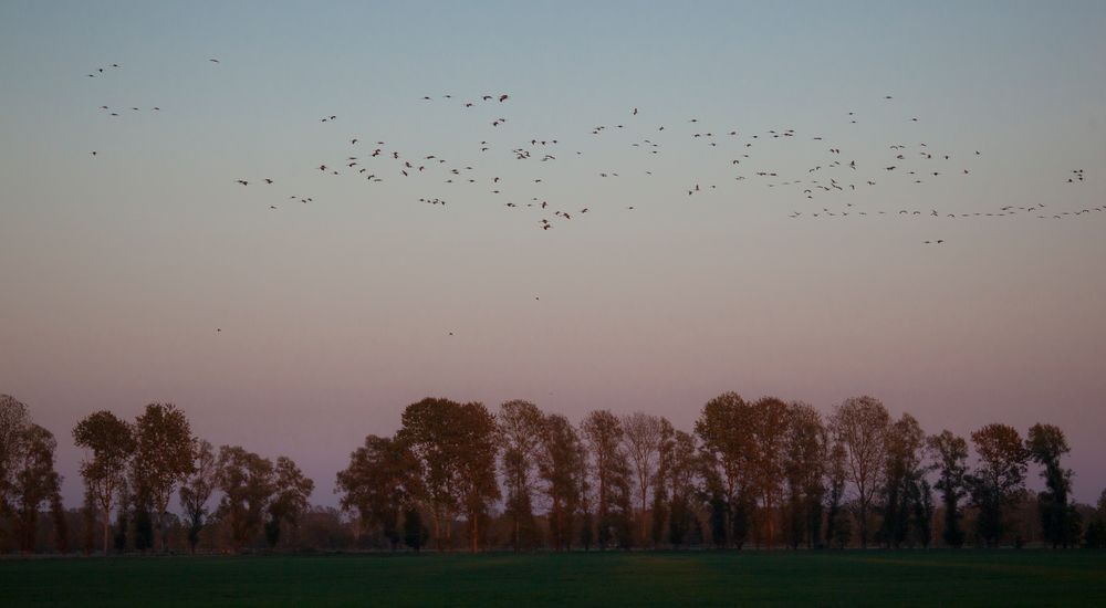 Abendhimmel im Havelland