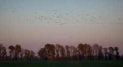 Abendhimmel im Havelland