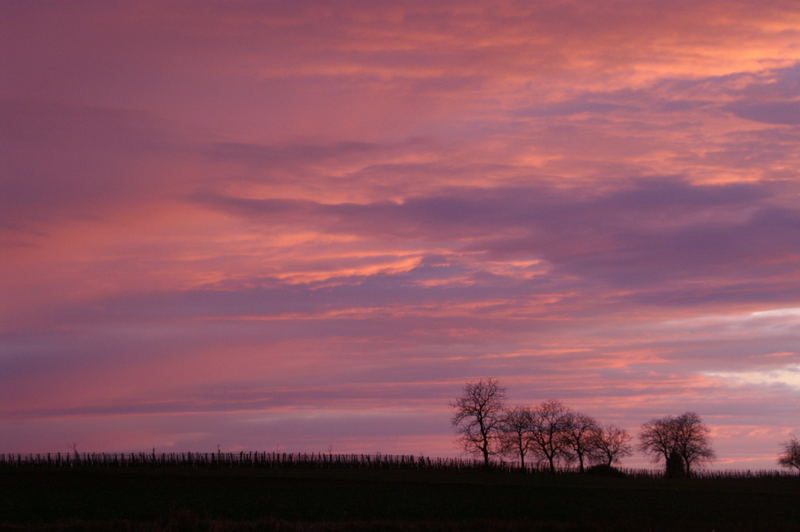 Abendhimmel im März im Kraichgau