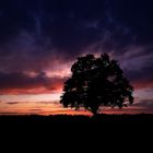 Abendhimmel im Sonnenuntergang