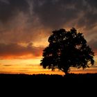 Abendhimmel im Sonnenuntergang