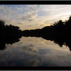 Abendhimmel in der Lobau