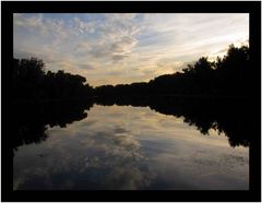 Abendhimmel in der Lobau