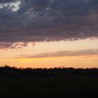 Abendhimmel in Gelbbraun