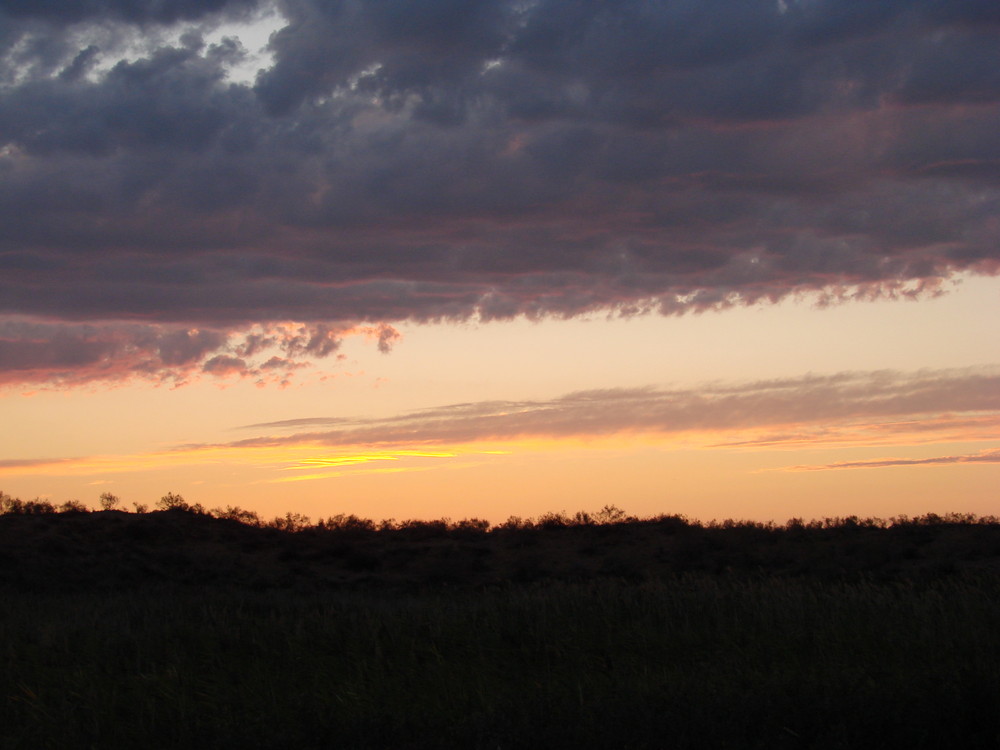 Abendhimmel in Gelbbraun