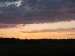 Abendhimmel in Gelbbraun