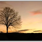 Abendhimmel in Todtnauberg