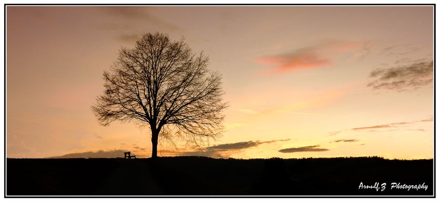 Abendhimmel in Todtnauberg