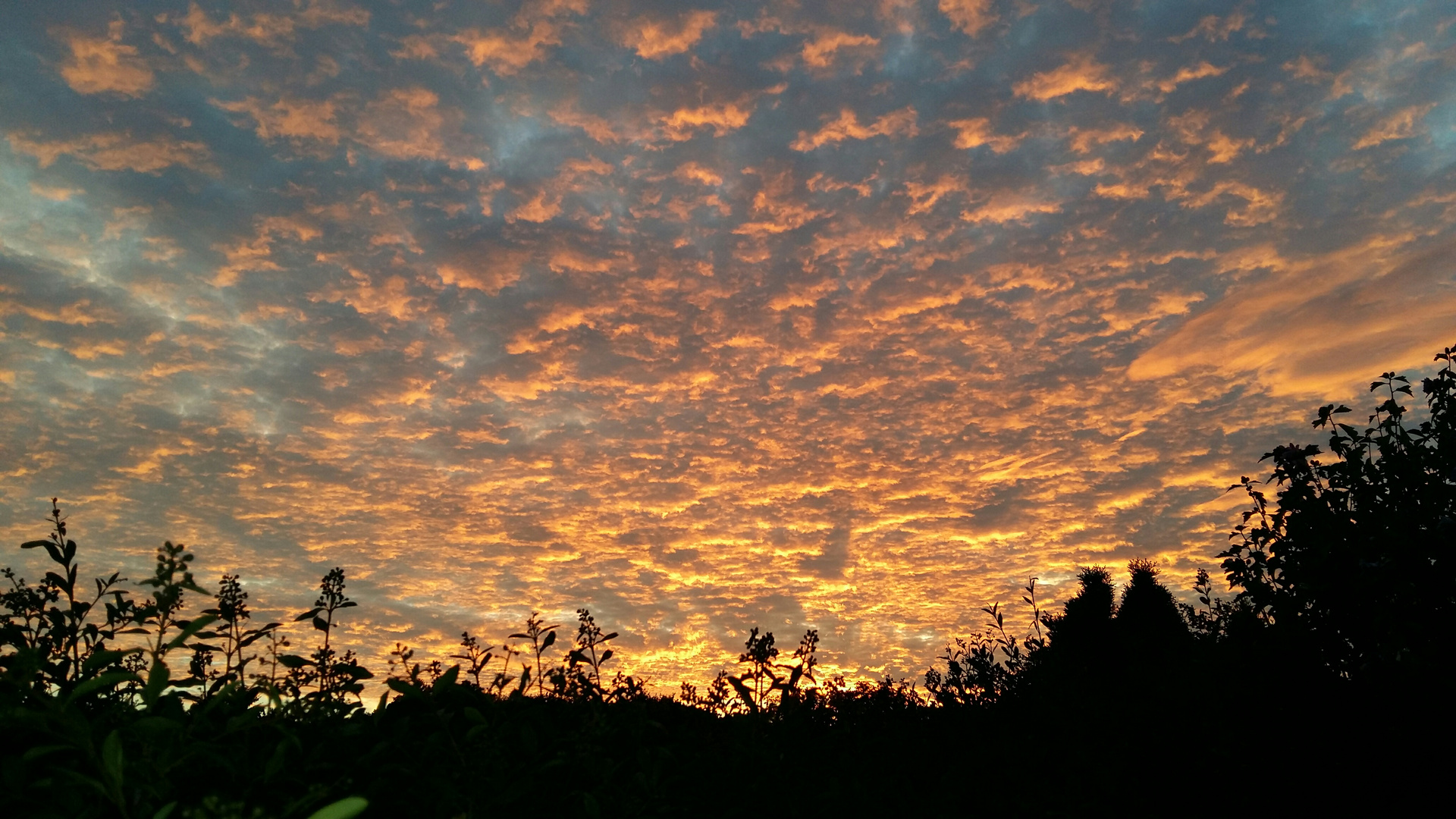 Abendhimmel Juli 2018